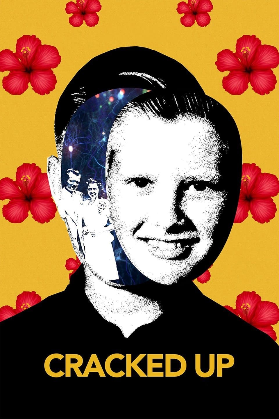 Постер Cracked Up